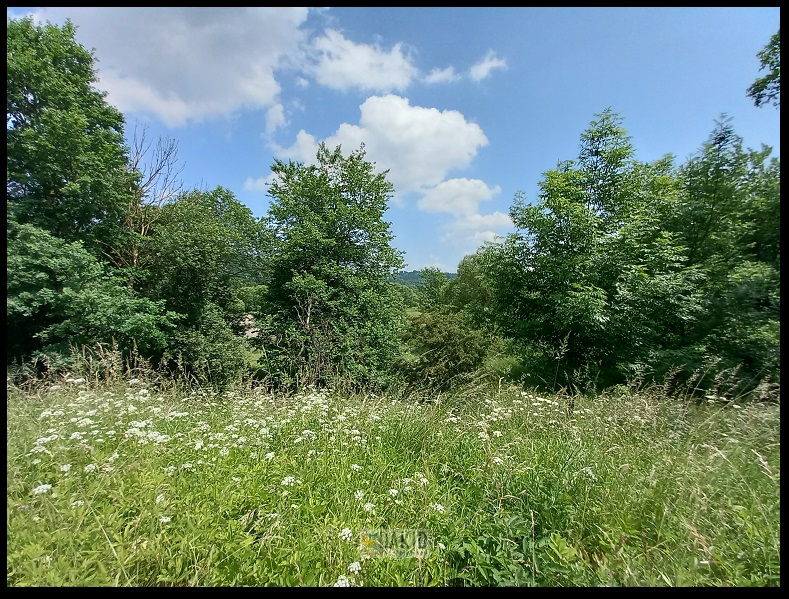 działka budowlana w górach - Trzebieszowice