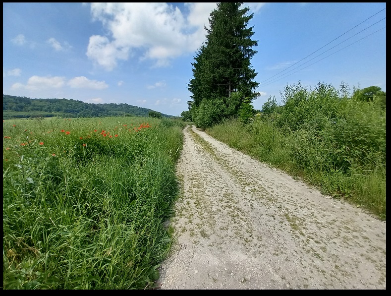 działka budowlana w górach - Trzebieszowice