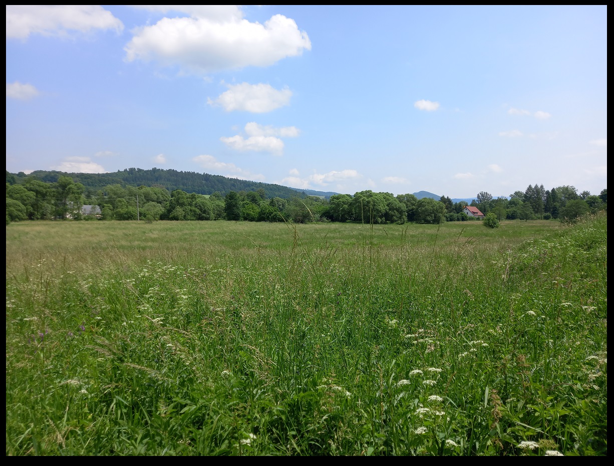 działka budowlana w górach - Trzebieszowice