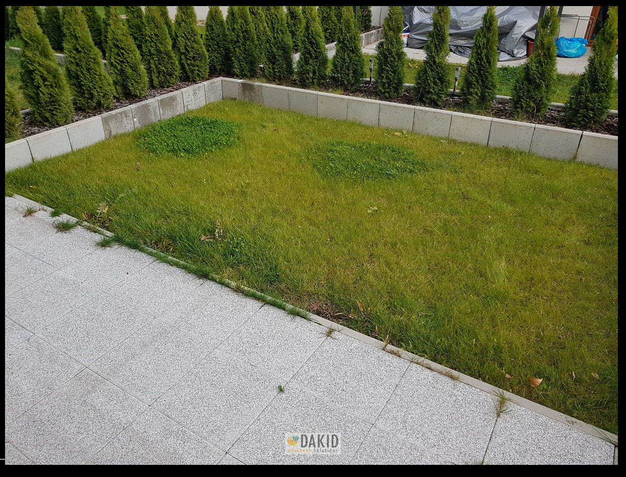 apartament wynajem dmowskiego