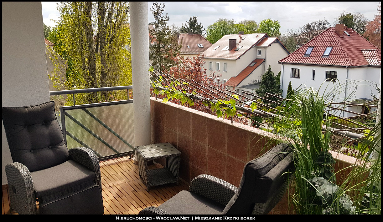 mieszkanie do wynajęcia ulica Saperów