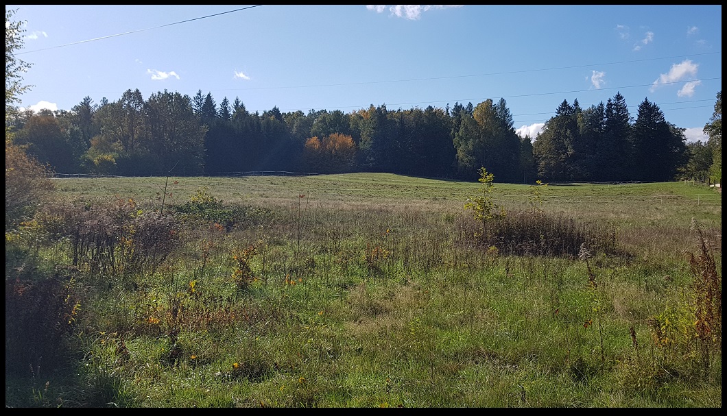 działka widokowa na sprzedaż w górach - Karkonosze